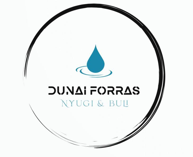 فيلا Forras Vendeghaz Dunaegyhaza المظهر الخارجي الصورة